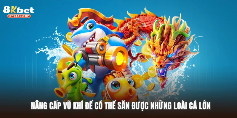 +3 Mẹo Chơi Bắn Cá Hiệu Quả, Bất Bại Cho Người Mới - BETFIELD88